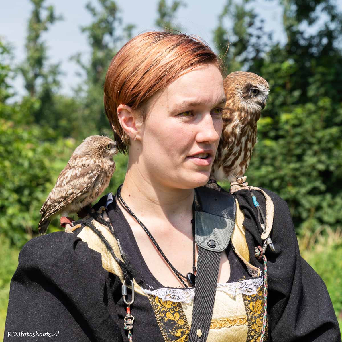 tfp dieren: Kleine uil en uilskuiken