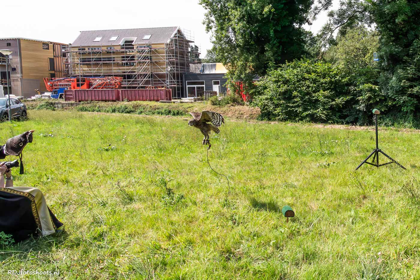 tfp dieren: De uil vliegt