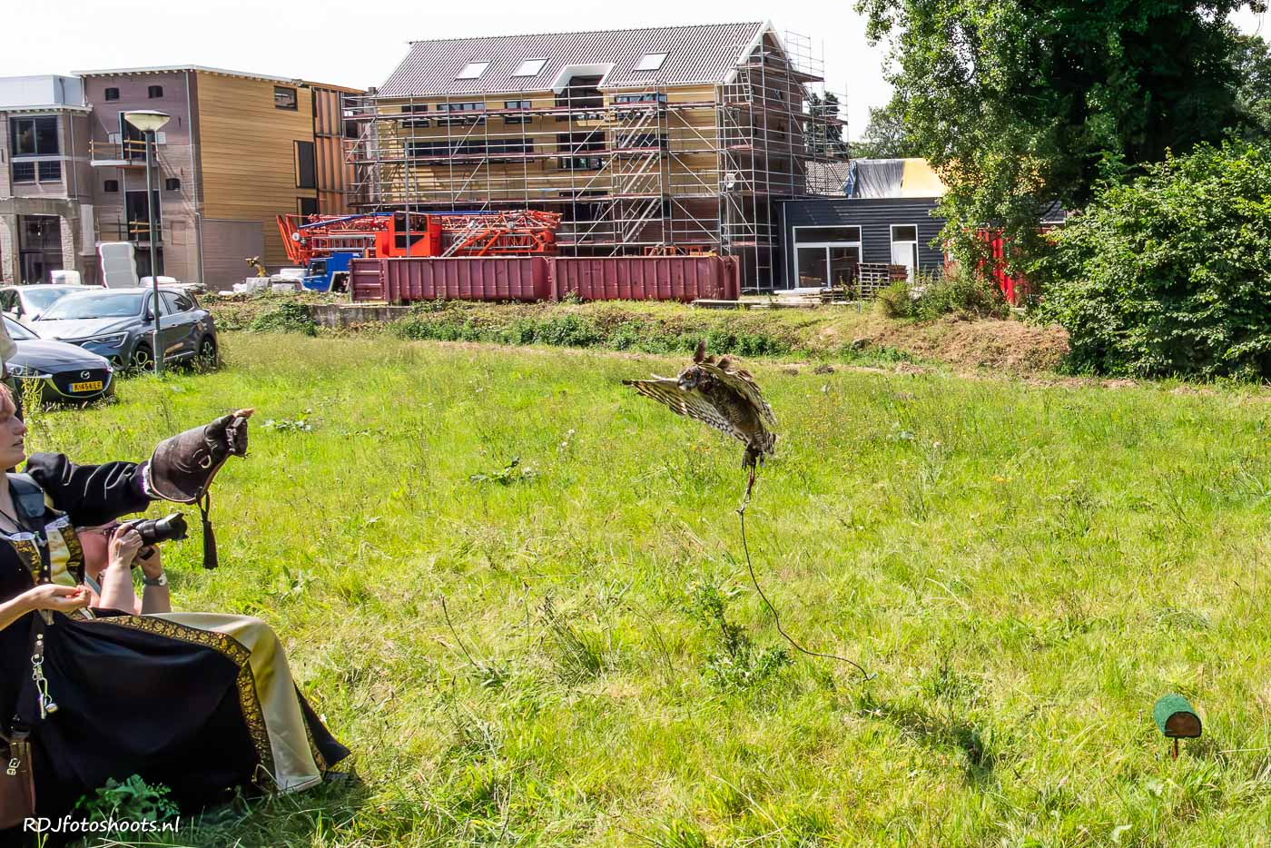 tfp dieren: De uil vliegt