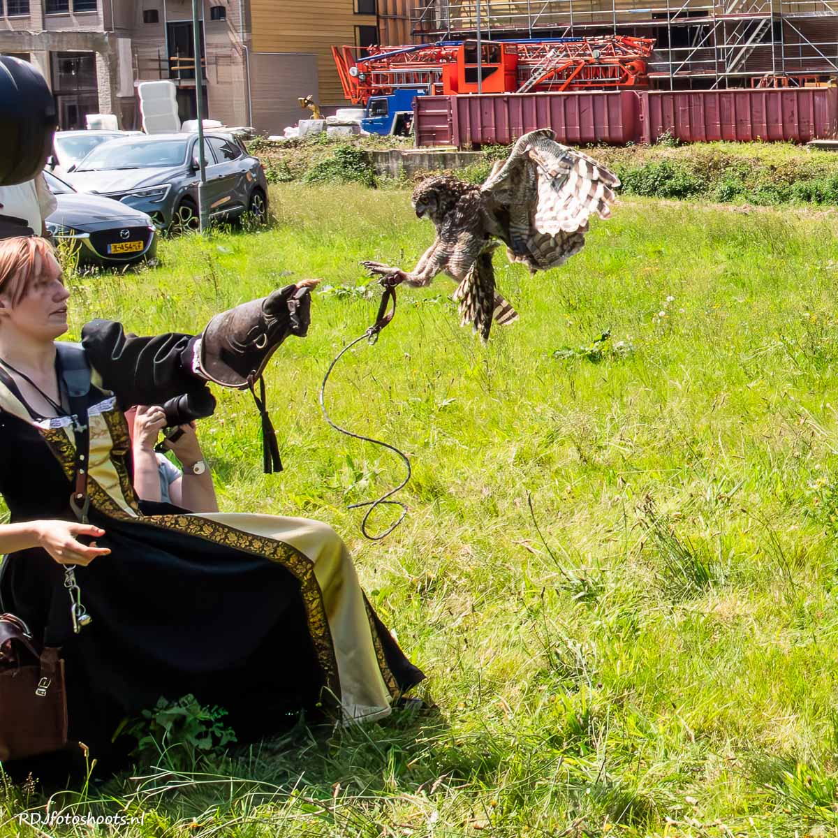 tfp dieren: De uil vliegt