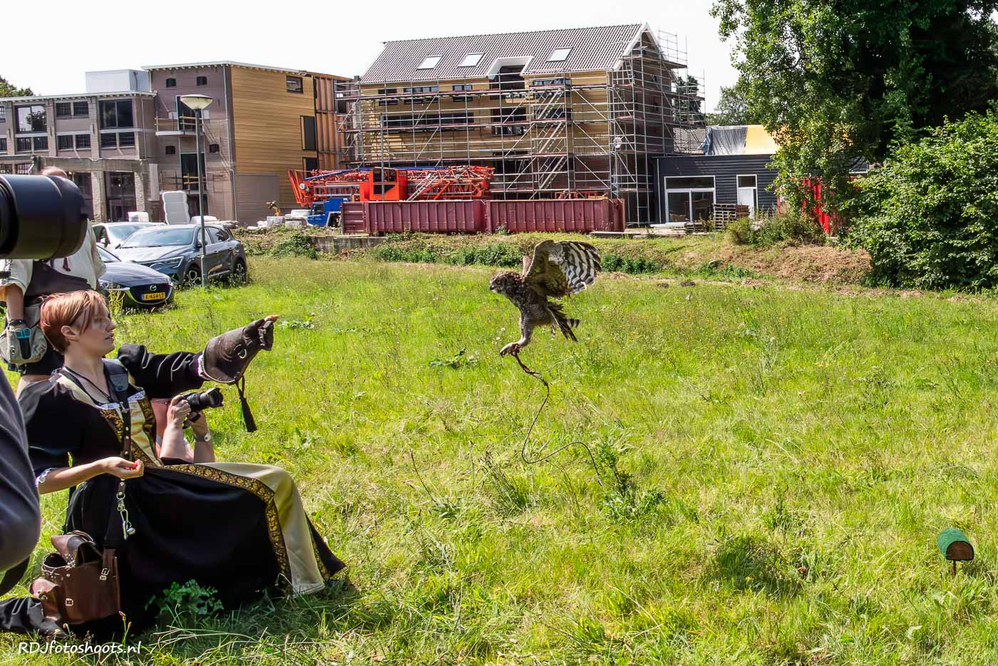 tfp dieren: De uil vliegt