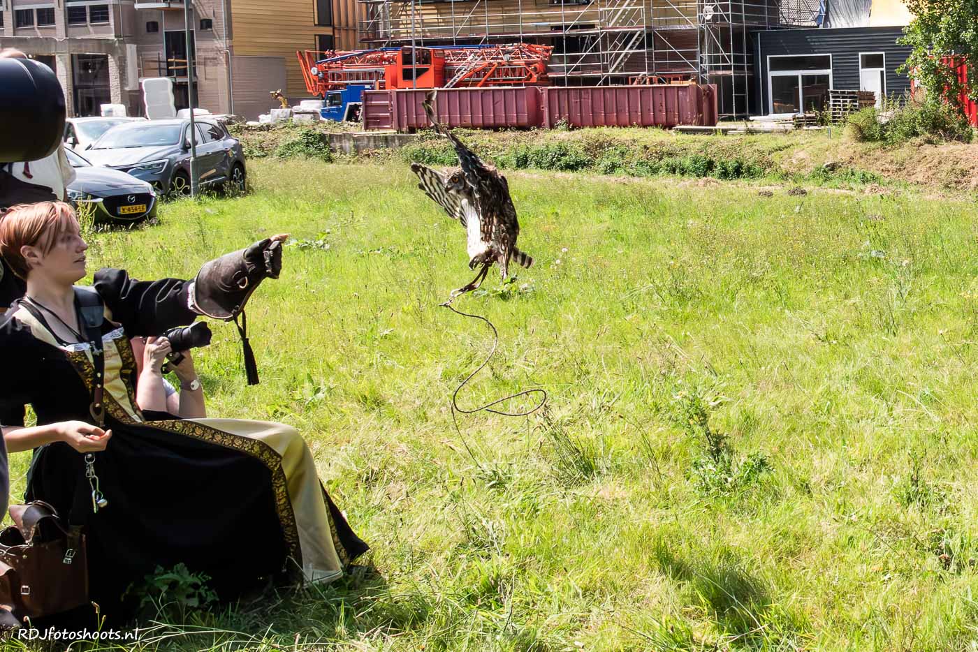 tfp dieren: De uil vliegt